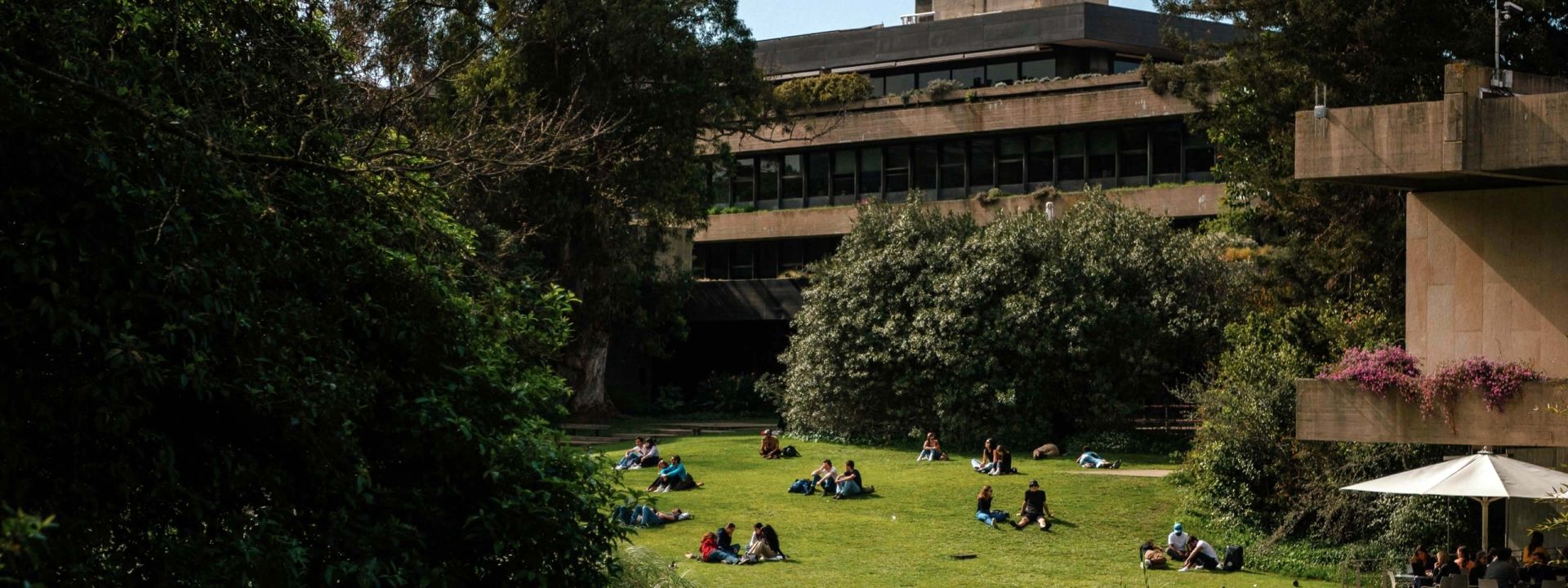 People relaxing on a lawn surrounded by trees beneath the Gulbenkian’s concrete terraces in Lisbon.